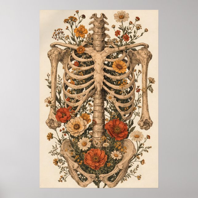 Póster de Esqueleto de Anatomía Floral, Botánica V (Frente)
