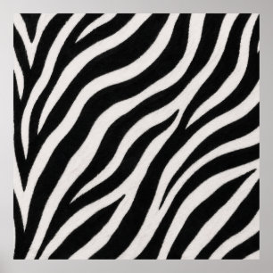Póster de estampado de cebra elegante Decoración c
