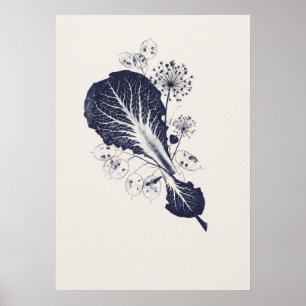 Póster de estudio botánico de Allium Lunaria de ho