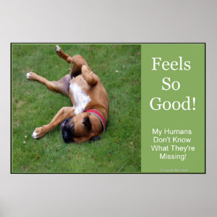 Póster de Feels So Good