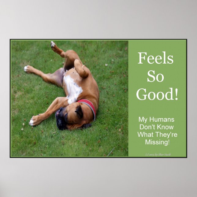 Póster de Feels So Good (Frente)