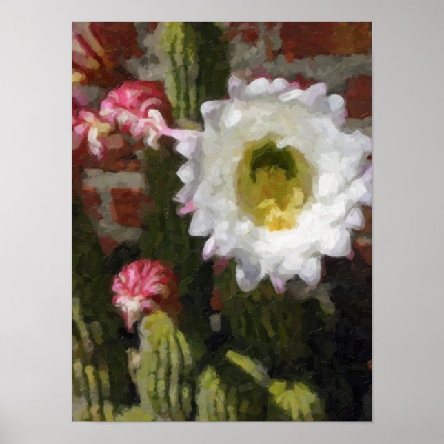 Póster de Flor de Cactus (Frente)