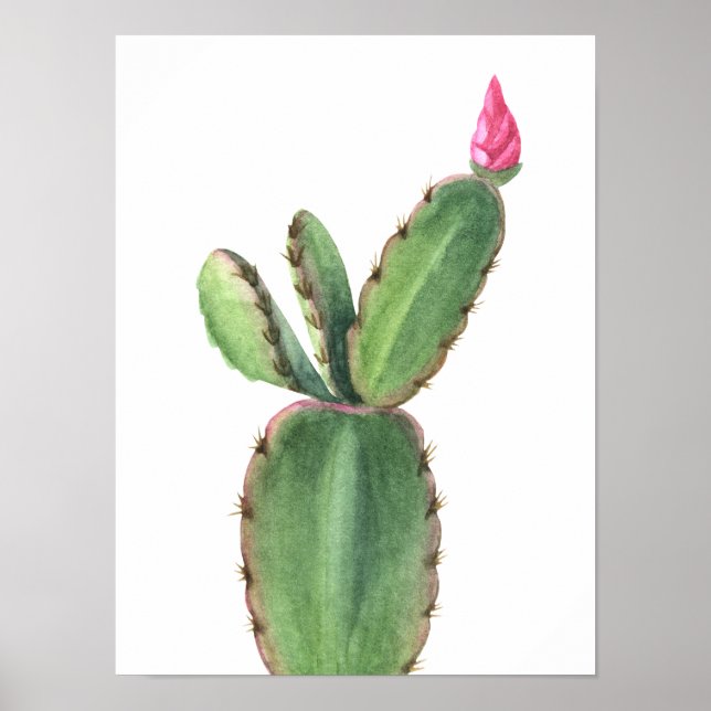 Póster de Flor de Cactus Rosa en Acuarela (Frente)
