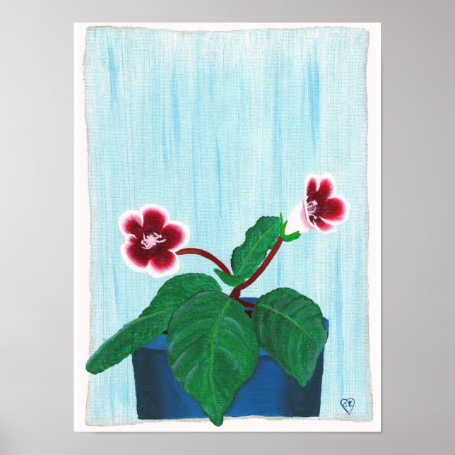 Póster de Flor de Gloxinia Violeta Africana Roja B (Frente)