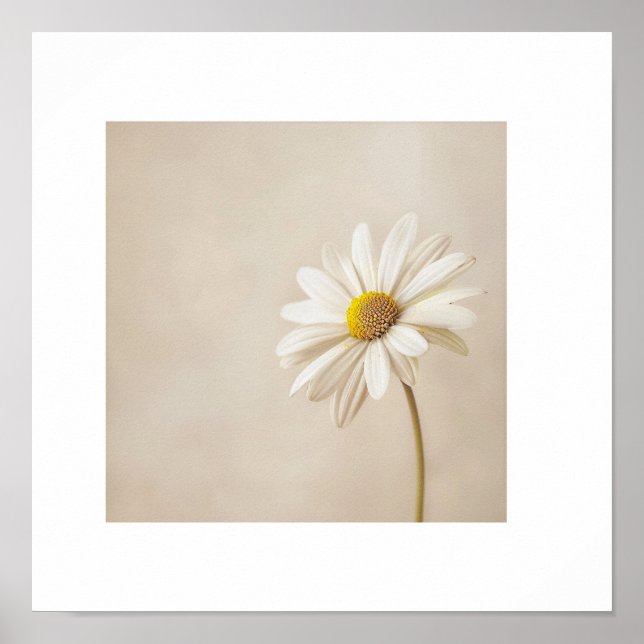 Póster de Flor de Margarita Minimalista – Botella  (Frente)