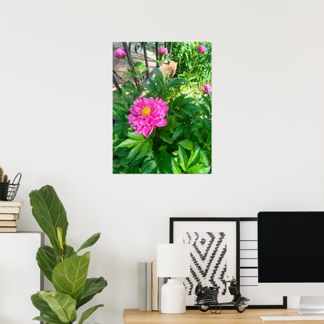 Póster de Flor de Peonía Rosa junto a Verja de Hie (Oficina en casa)