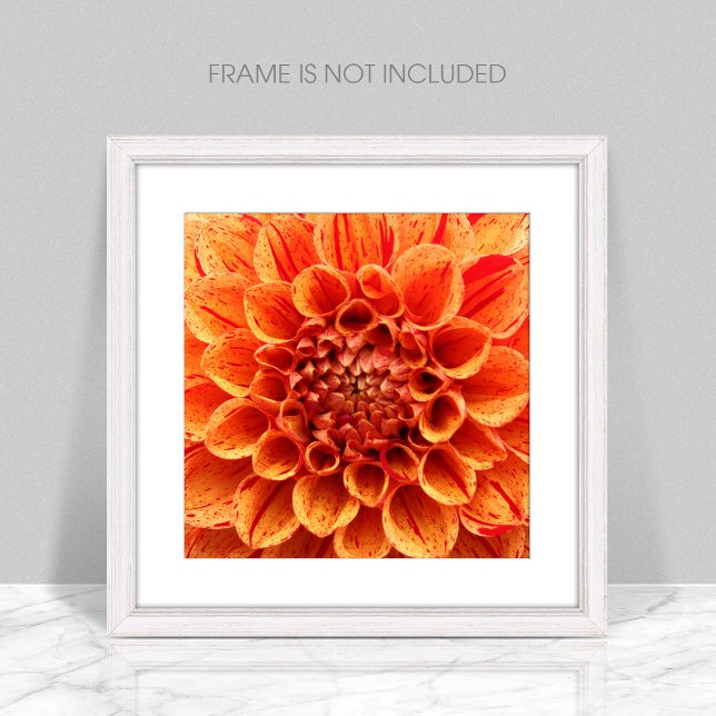 Poster de flor Naranja de cierre (Subido por el creador)