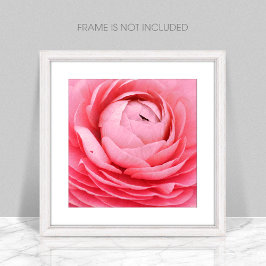 Poster de flor rosa de cierre