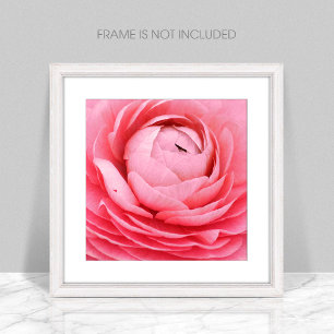Poster de flor rosa de cierre