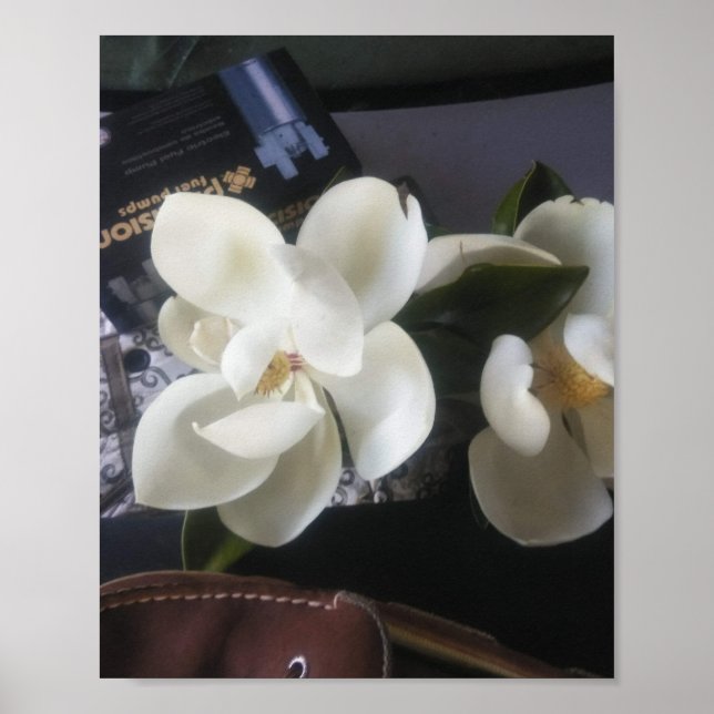 Póster de Flor Silvestre de Florida (Frente)