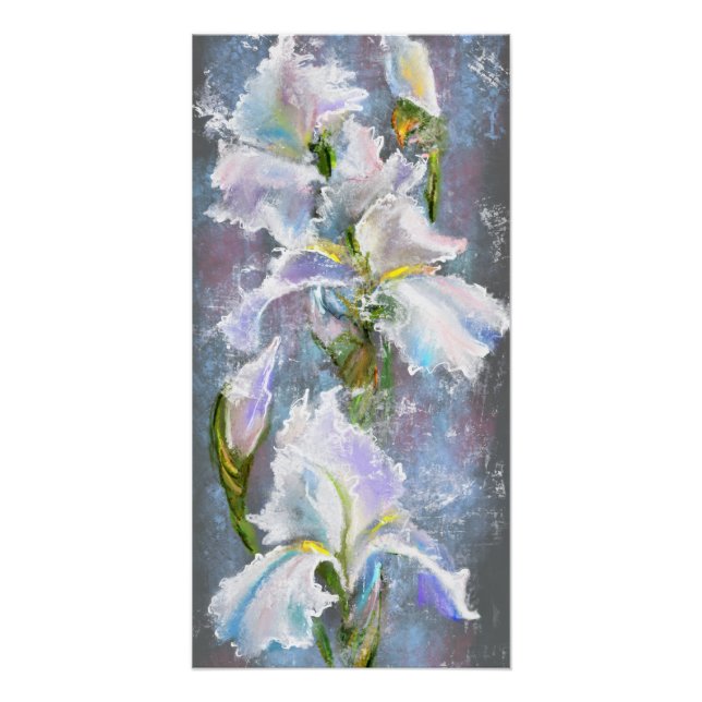 Póster de Flores de Iris Blancas Hermosas (Anverso)