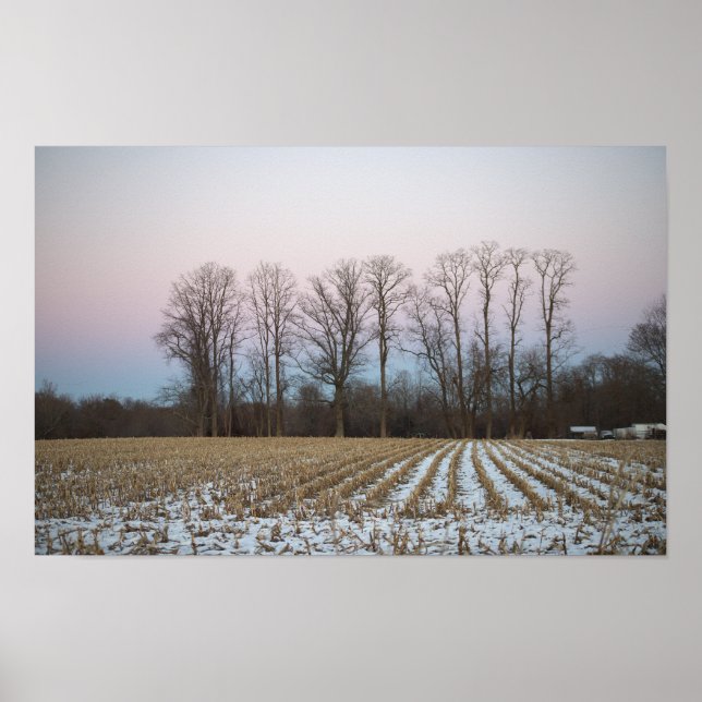 Póster de foto de campo nevado (Frente)