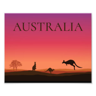 Póster de Foto de Canguros de Australia