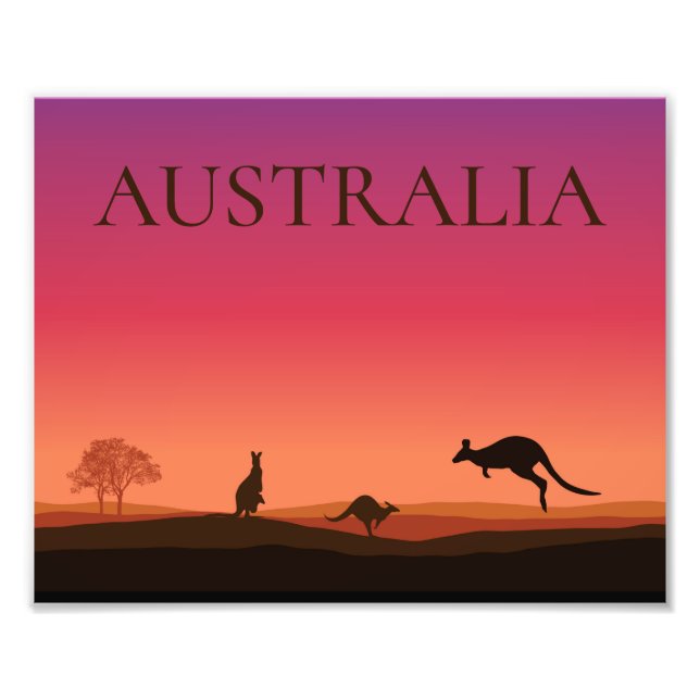 Póster de Foto de Canguros de Australia (Frente)