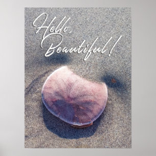 Póster de foto de dólar de arena vivo Hello Beauti