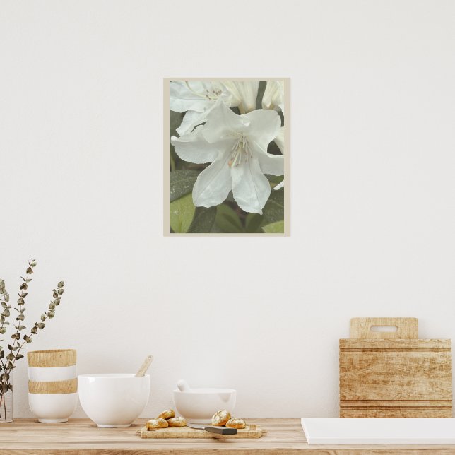 Póster de foto de flores blancas (Cocina)