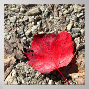 Póster de foto de hoja roja