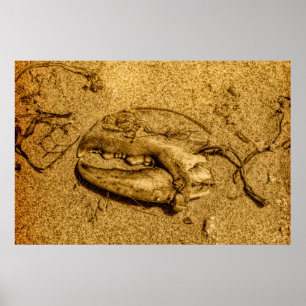 Póster de foto de la garra de langosta monocroma d