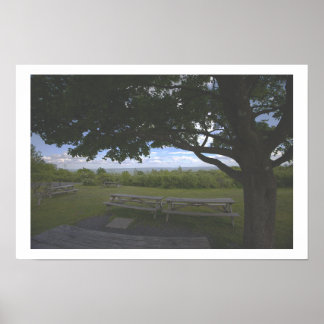 Póster de foto de paisaje de árbol vista