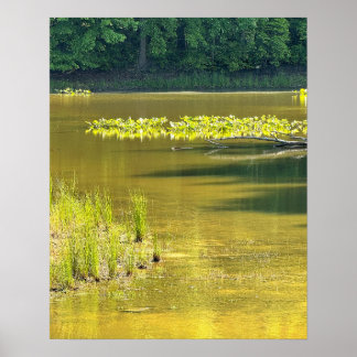 Póster de foto de paisaje de estanque