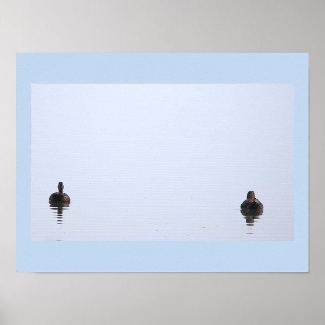 Póster de foto de patos (Frente)