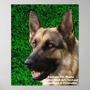 Póster de foto de perro personalizado - Memorial d