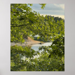 Póster de foto del mirador del lago