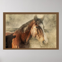 Poster de fotografía de arte de caballos