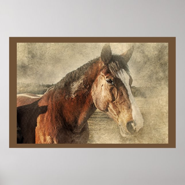 Poster de fotografía de arte de caballos (Frente)