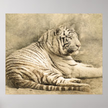 Poster de fotografía de arte de la jungla de Safar