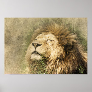 Poster de fotografía de arte de la jungla salvaje 