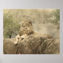 Poster de fotografía de arte de la jungla salvaje