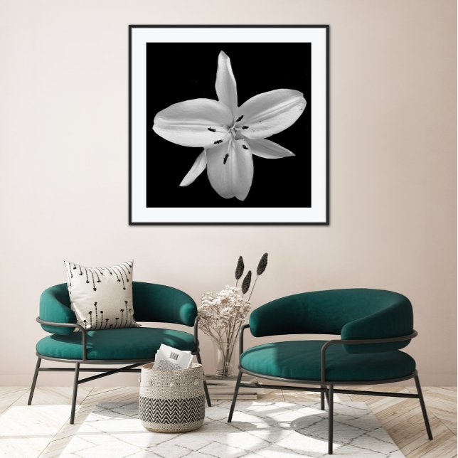 Póster de fotografía de flores en blanco y negro (Subido por el creador)