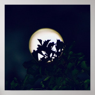 Poster de fotografía de luna llena impresión para 
