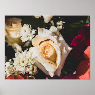 Póster de fotografía de rosa blanca