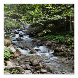 Póster de fotografía junto al río