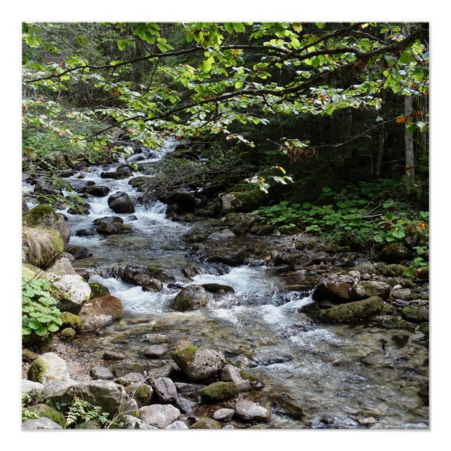 Póster de fotografía junto al río (Anverso)