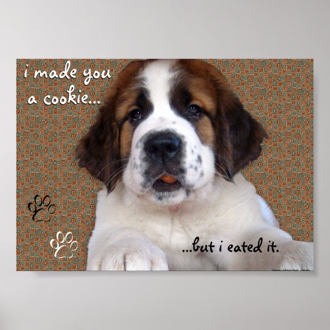 Póster de galletas para cachorros San Bernardo (Frente)