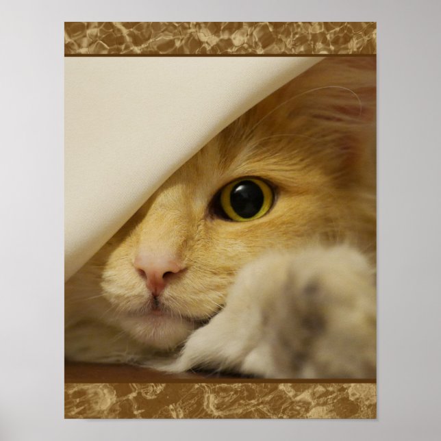 Póster de gatito amarillo lindo (Frente)
