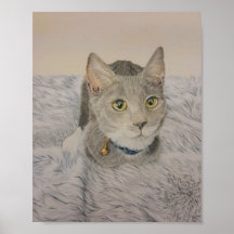 Póster de gatito gris