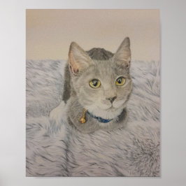 Póster de gatito gris