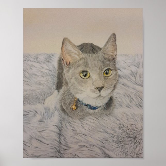 Póster de gatito gris (Frente)