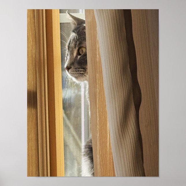 Póster de Gato Detrás de la Cortina (Frente)