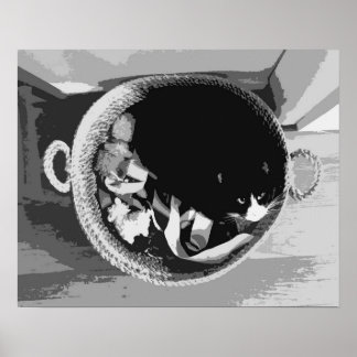 Póster de gato en cesta