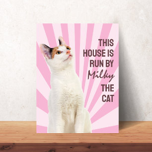 Póster de gato personalizado con la frase 'Esta Ca