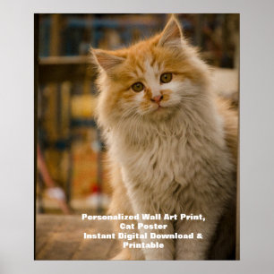 Póster de gato personalizado: descargue el retrato
