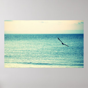 Póster de gaviota