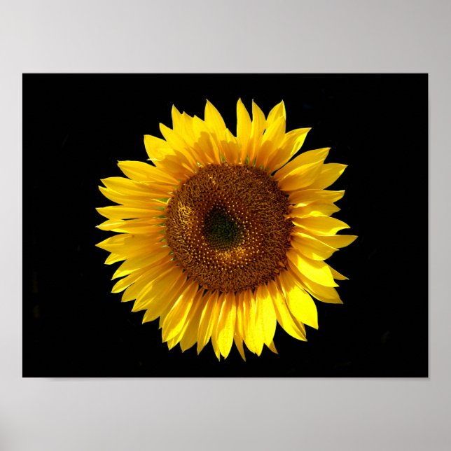 Póster de girasol (Frente)