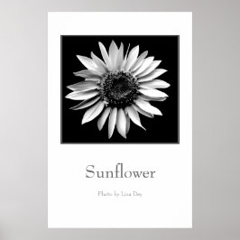 Póster de 'Girasol'
