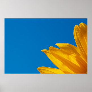 Póster de Girasol Amarillo y Cielo Azul